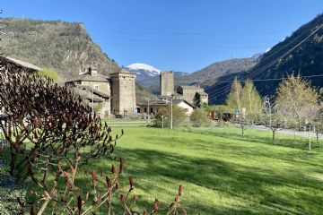 Manifestazioni Estate 2025 Avise